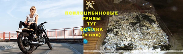 СК Гусь-Хрустальный