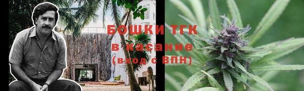 ПСИЛОЦИБИНОВЫЕ ГРИБЫ Гусиноозёрск