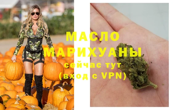 шишки Гусев